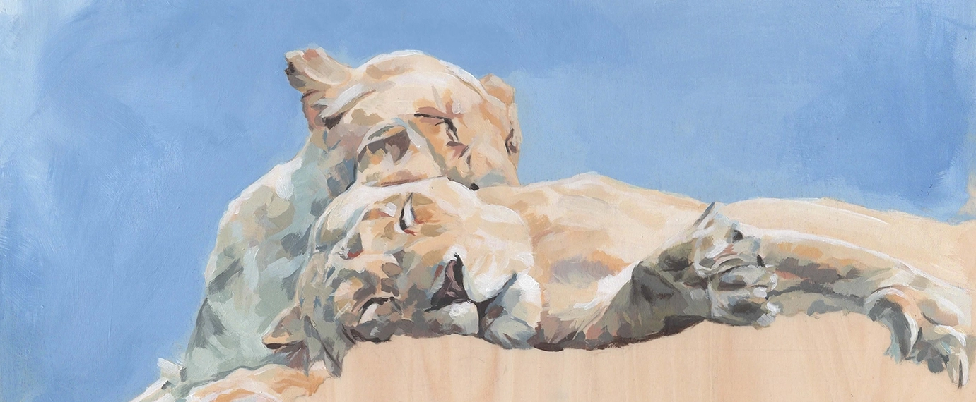 Lions napping graphic art